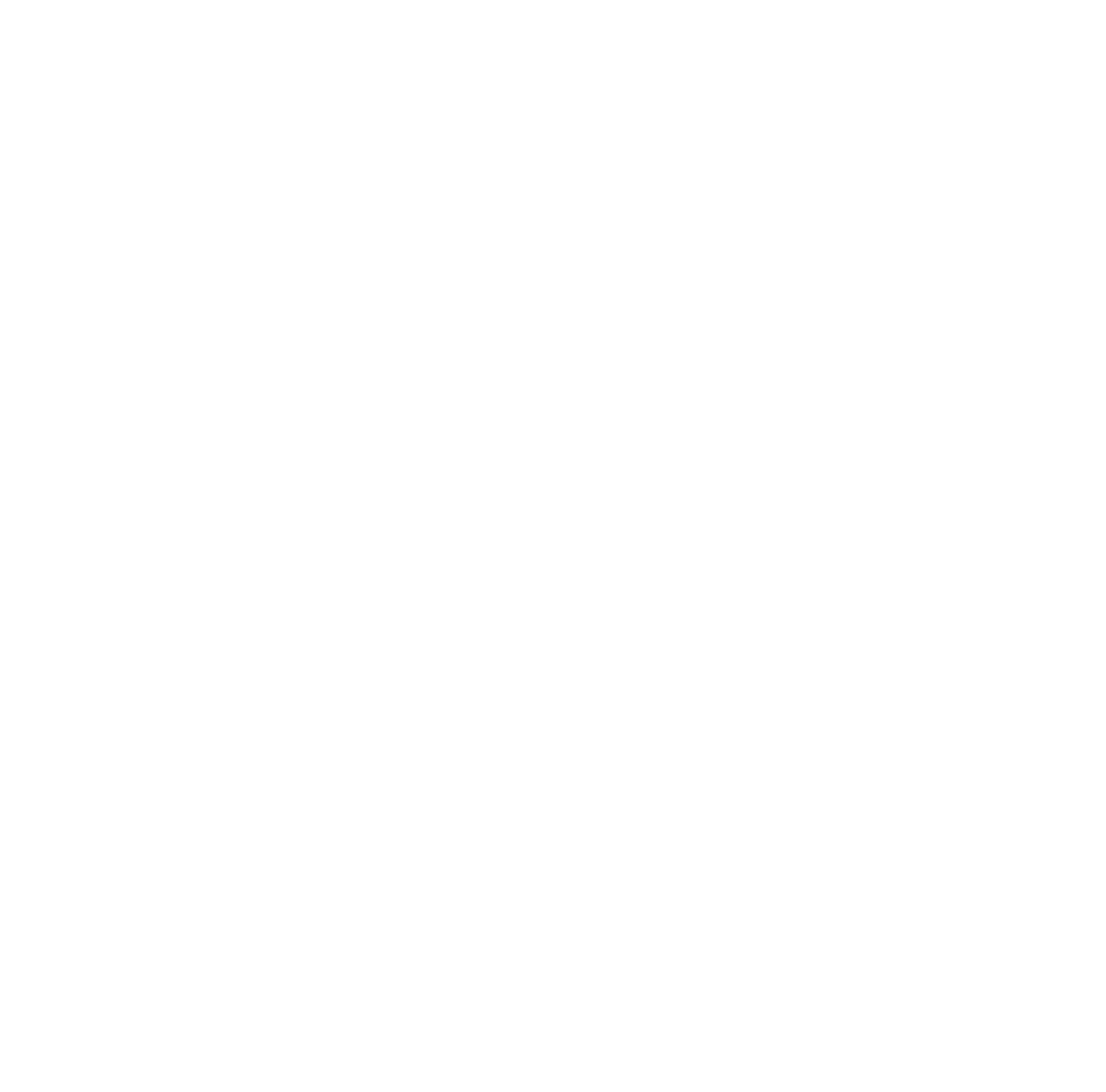 Druck_icon