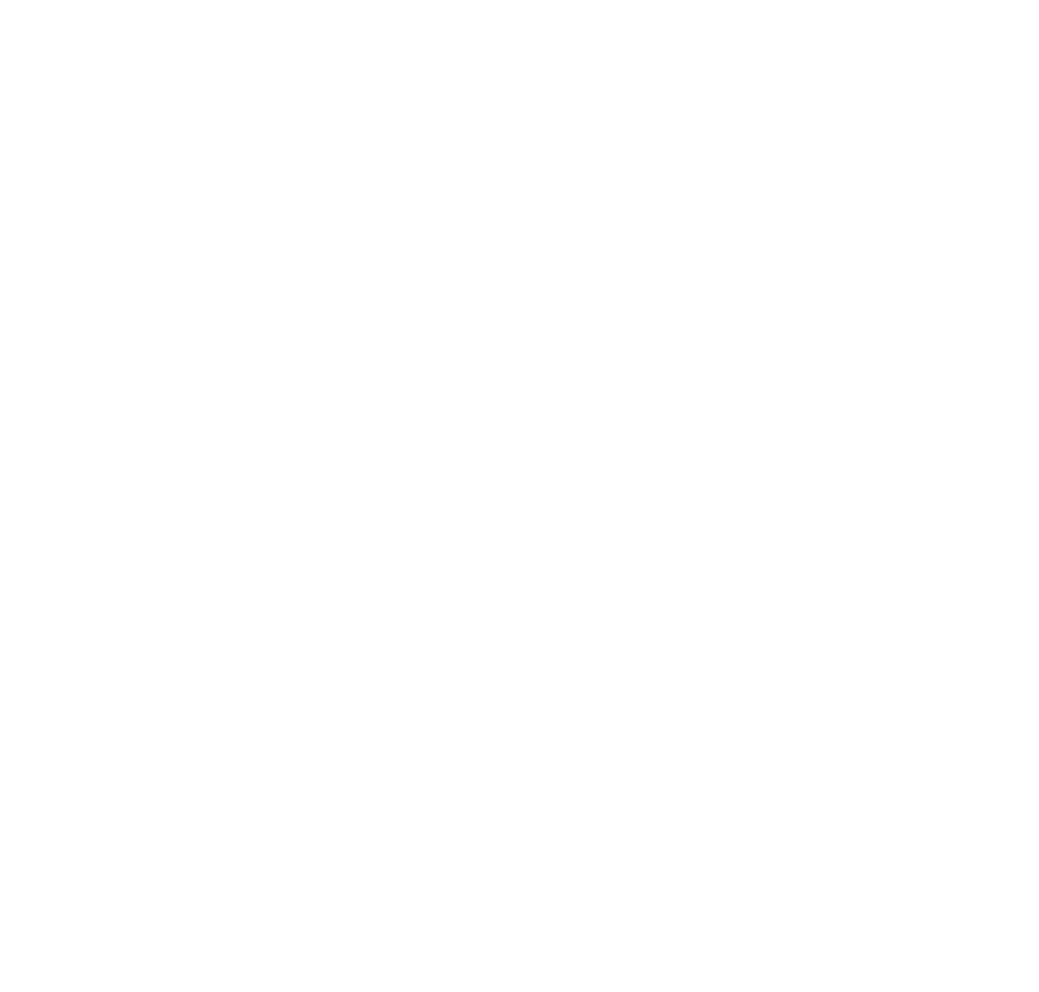 Schnelligkeit_icon